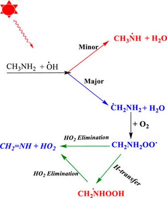 Can a single ammonia and water molecule enhance the formation of methanimine under tropospheric conditions?: kinetics of •CH2NH2 + O2 (+NH3/H2O)